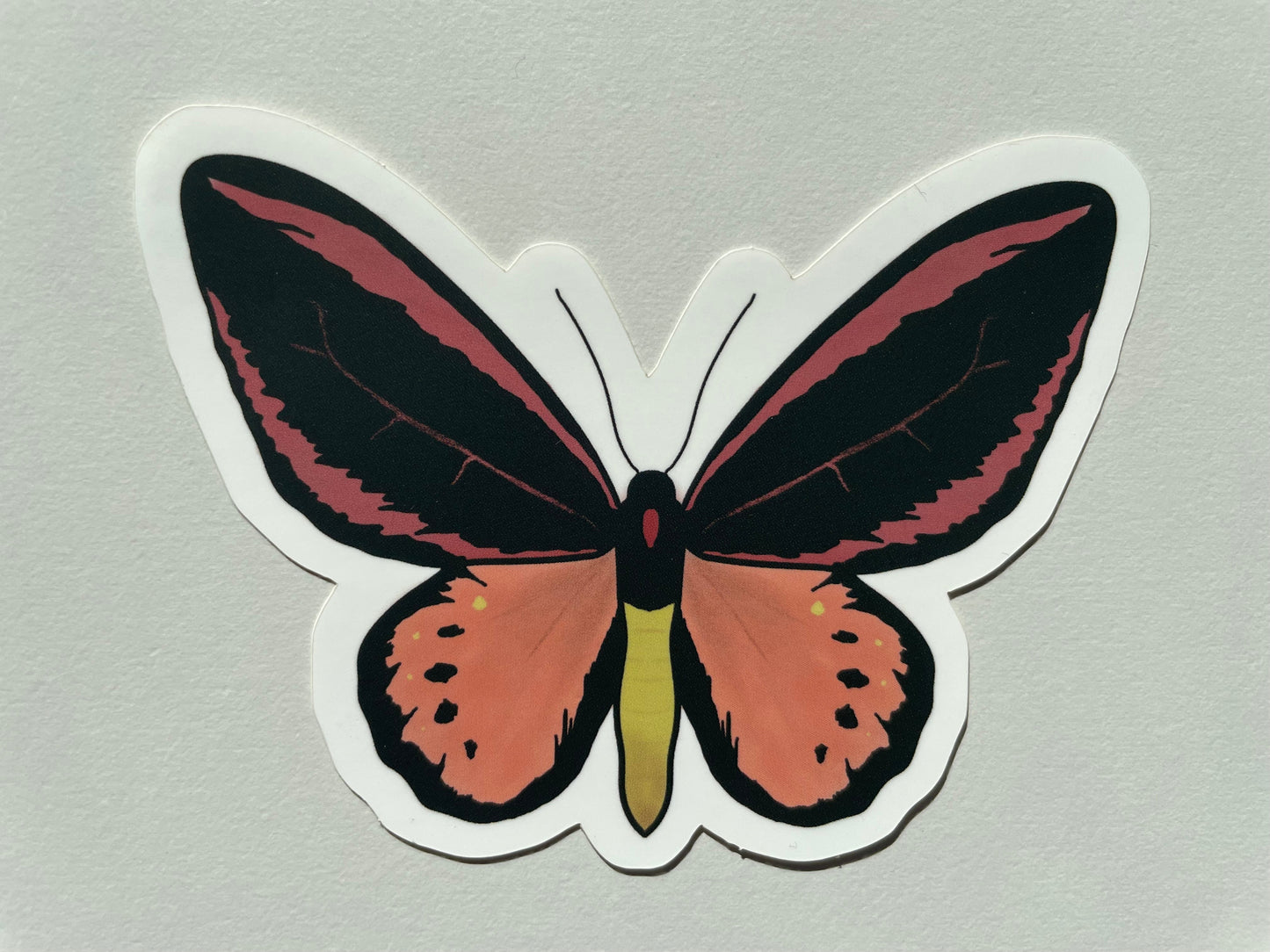 Schmetterling peach/pink