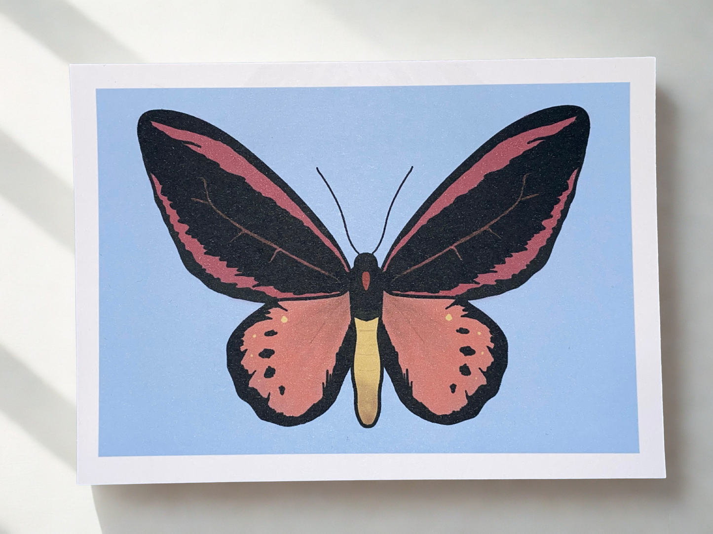 Grußkarte Schmetterling pink/pfirsich A6