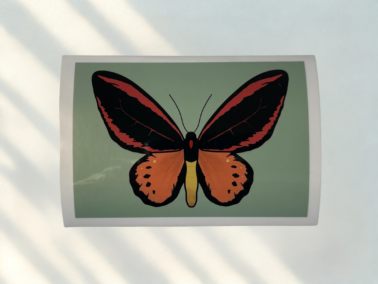 Schmetterlings Sticker peach/pink