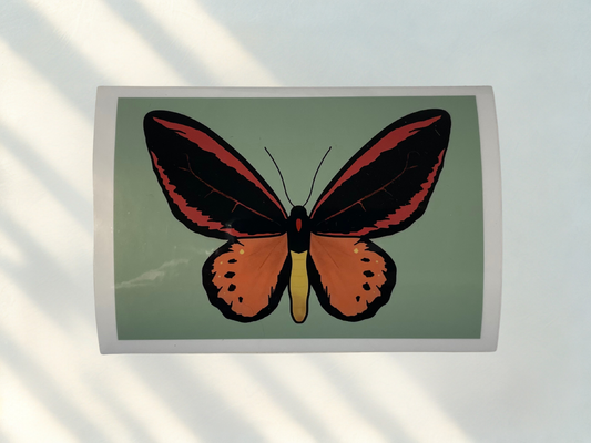 Schmetterlings Sticker peach/pink